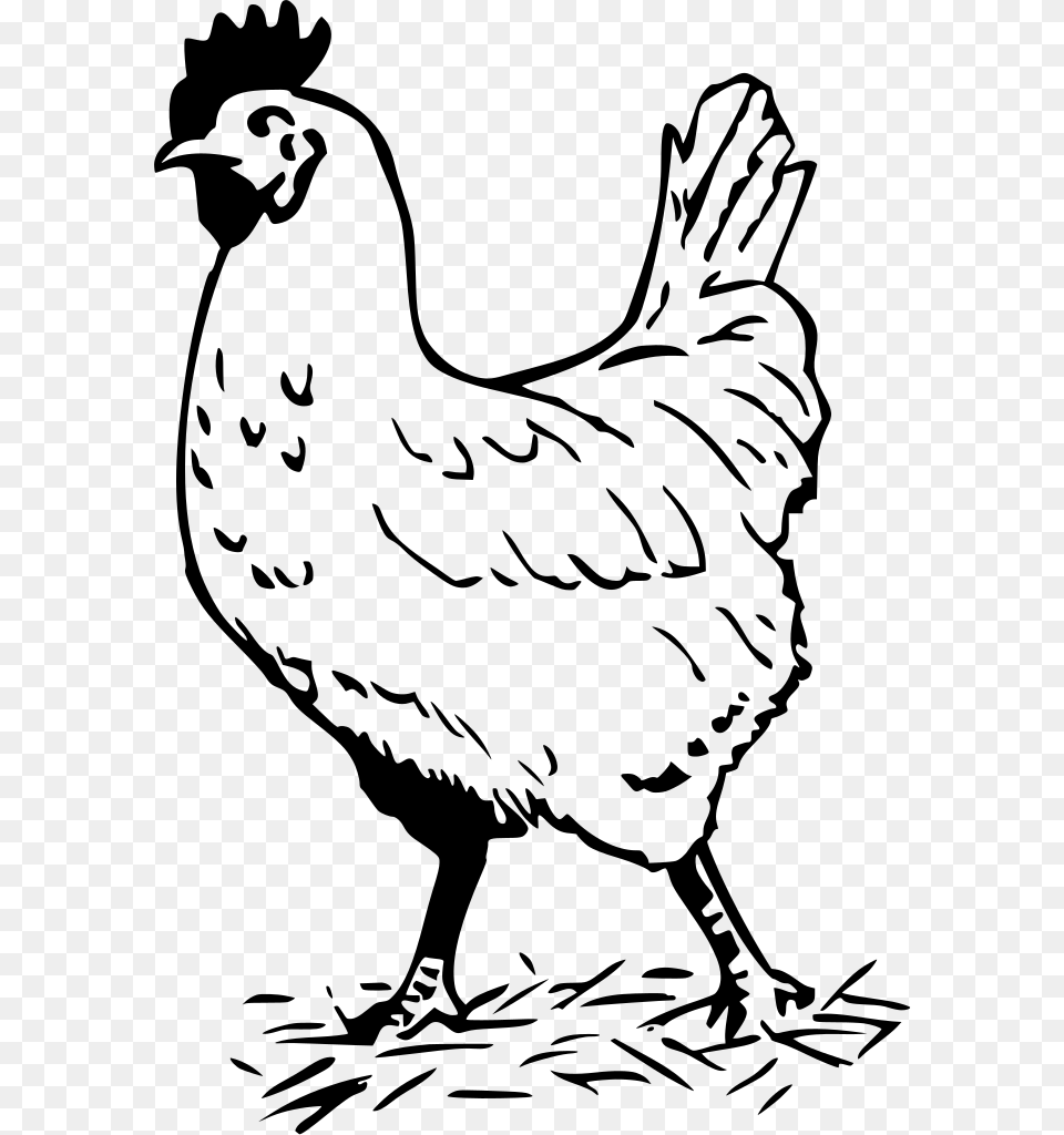 Hen Black And White, Gray Png Image