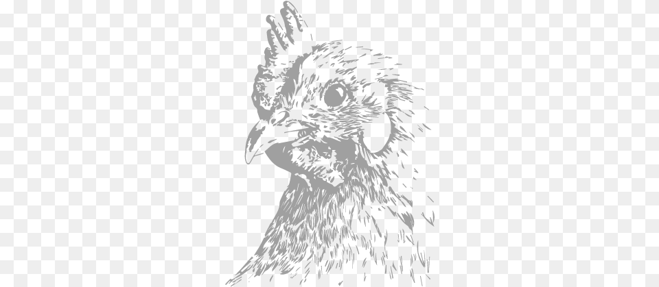 Hen Chicken, Person, Art, Drawing, Animal Free Png Download