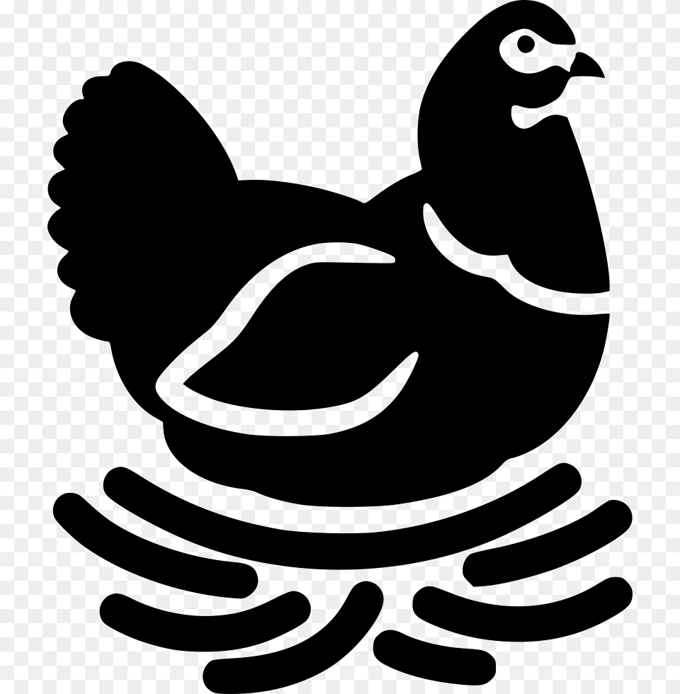 Hen Chicken Brood Svg Black And White Chicken On Nest, Stencil, Animal, Fish, Sea Life Png Image