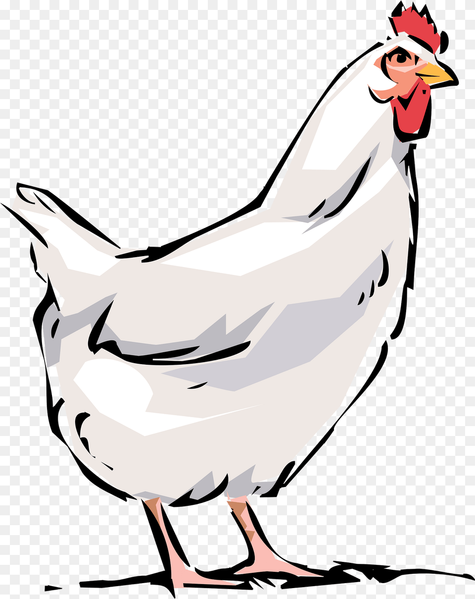 Hen Clipart, Animal, Bird, Chicken, Fowl Free Png Download