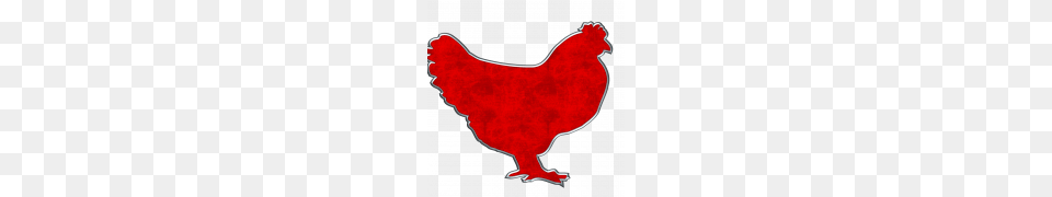 Hen Clipart, Animal, Bird, Chicken, Fowl Png