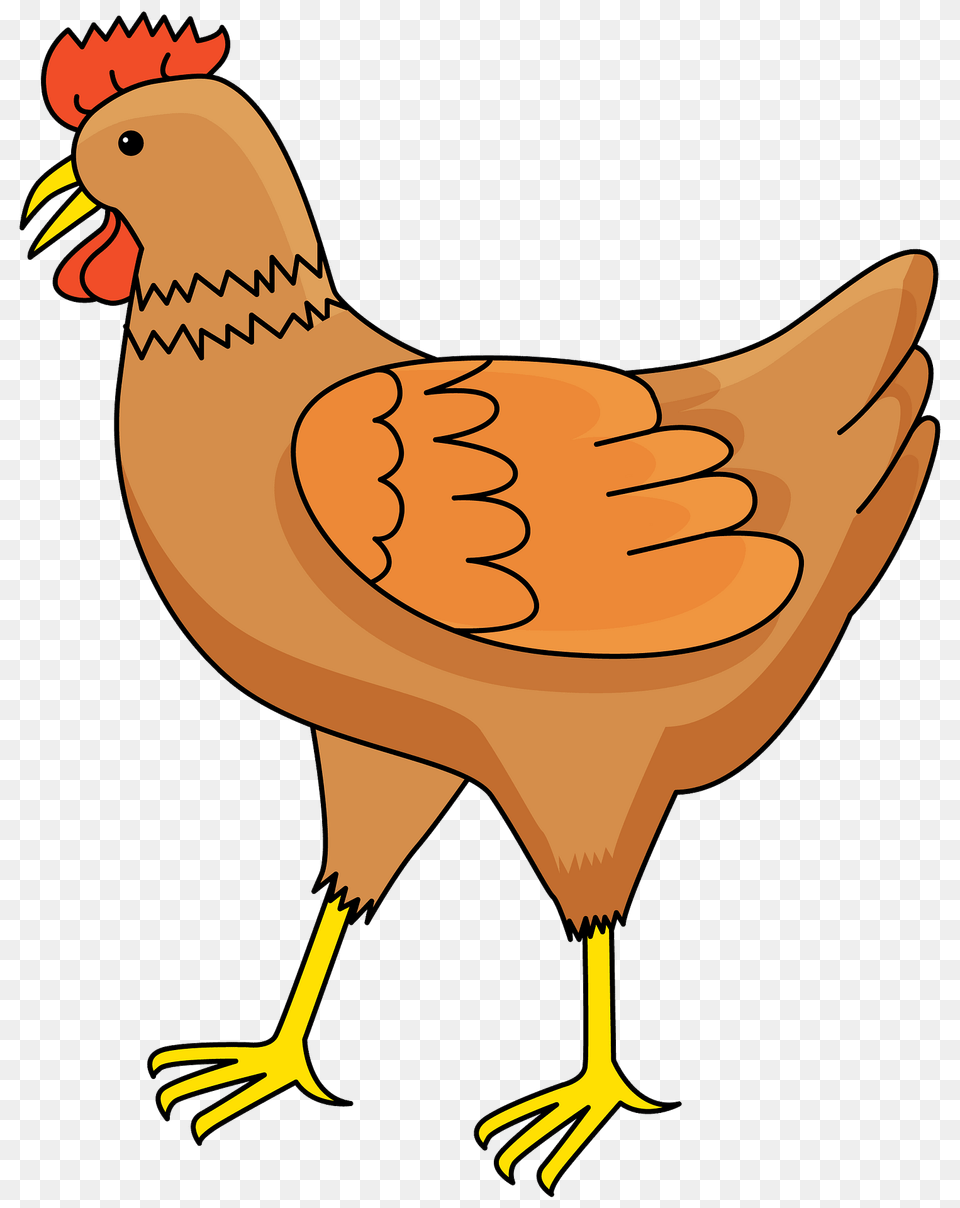 Hen Clipart, Animal, Bird, Chicken, Fowl Free Transparent Png
