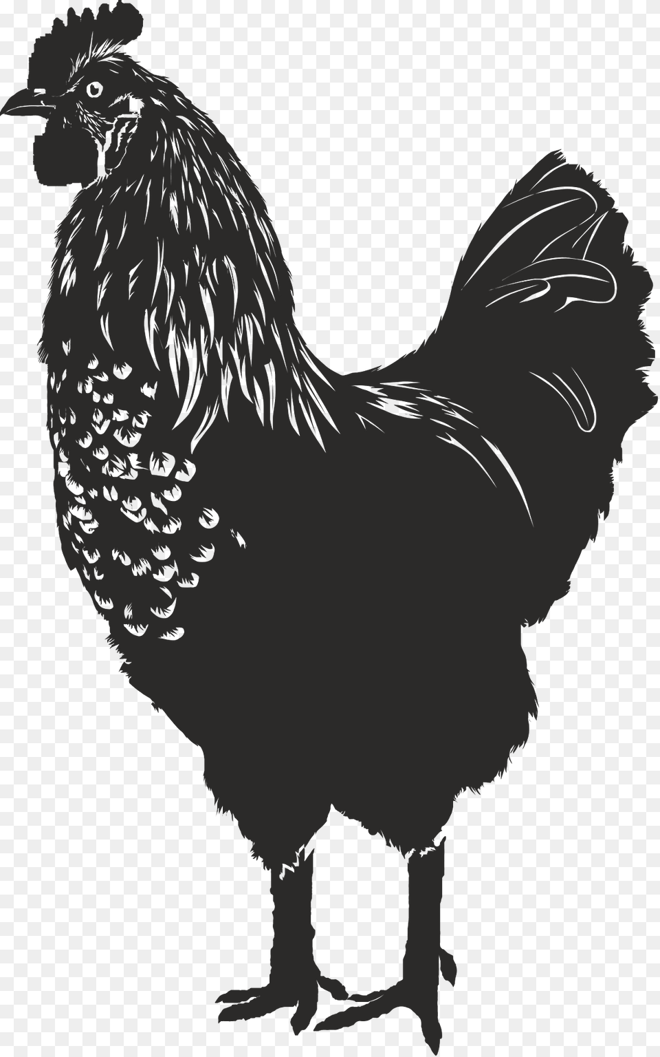 Hen Clipart, Animal, Person, Bird, Fowl Png Image