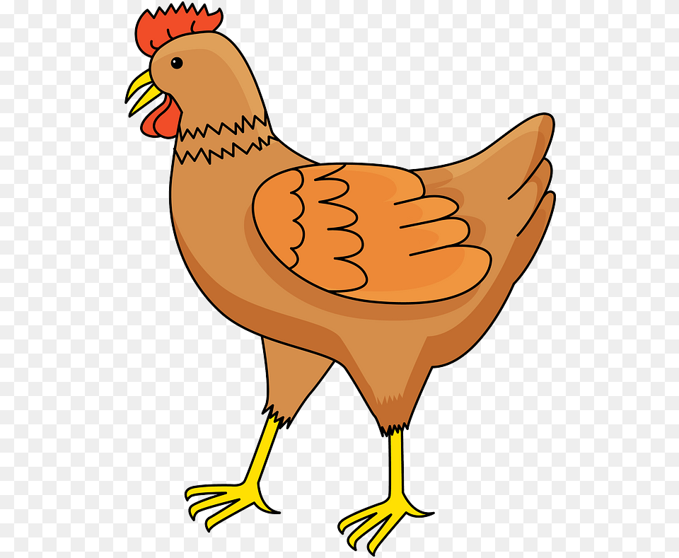 Hen Clipart, Animal, Bird, Chicken, Fowl Free Png Download