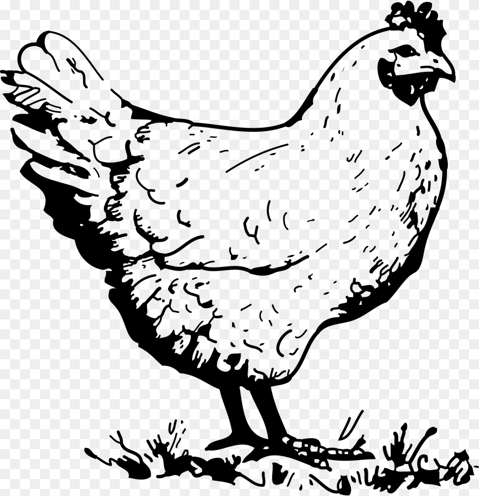 Hen Clipart Black And White, Gray Png
