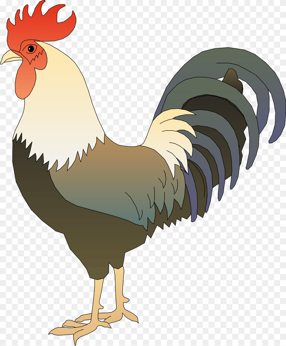 Hen Clipart Rooster Rooster Clipart, Animal, Bird, Fowl, Poultry Free Png Download