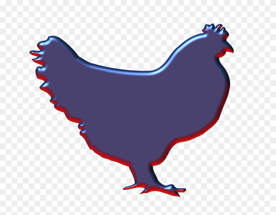 Hen Graphic, Animal, Bird, Chicken, Fowl Png