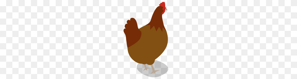 Hen Icon Formats, Animal, Bird, Chicken, Fowl Png