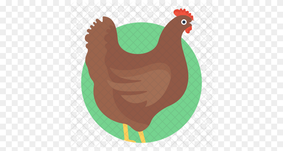 Hen Icon Fowl, Animal, Bird, Chicken, Poultry Free Png Download