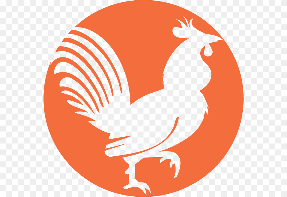 Hen Icon Icon Rooster, Animal, Bird, Fish, Sea Life Free Png