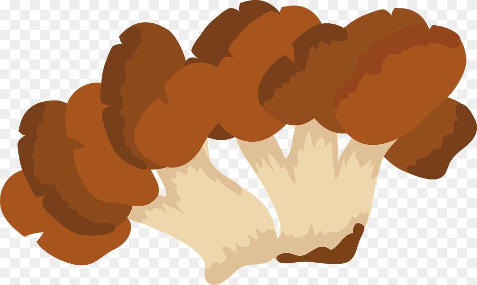 Hen Of The Woods Mushroom Clipart, Fungus, Plant, Person, Agaric Png Image