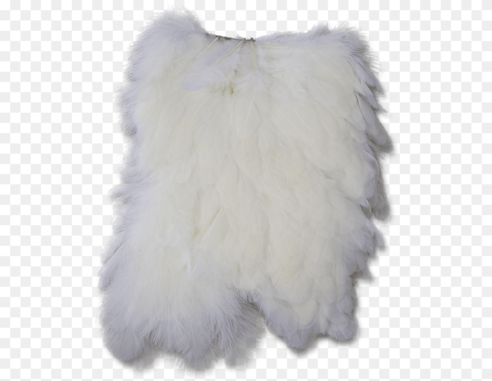 Hen Saddle Fur Clothing, Cushion, Home Decor, Pillow, Animal Png Image