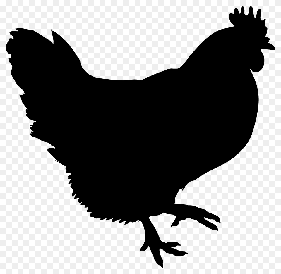 Hen Silhouette, Animal, Bird, Chicken, Fowl Free Transparent Png