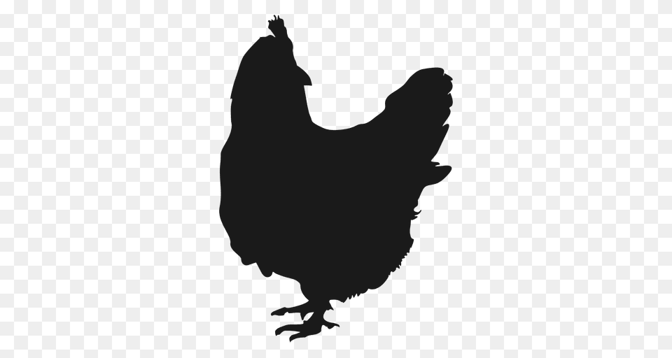 Hen Silhouette, Animal, Bird, Chicken, Fowl Free Png