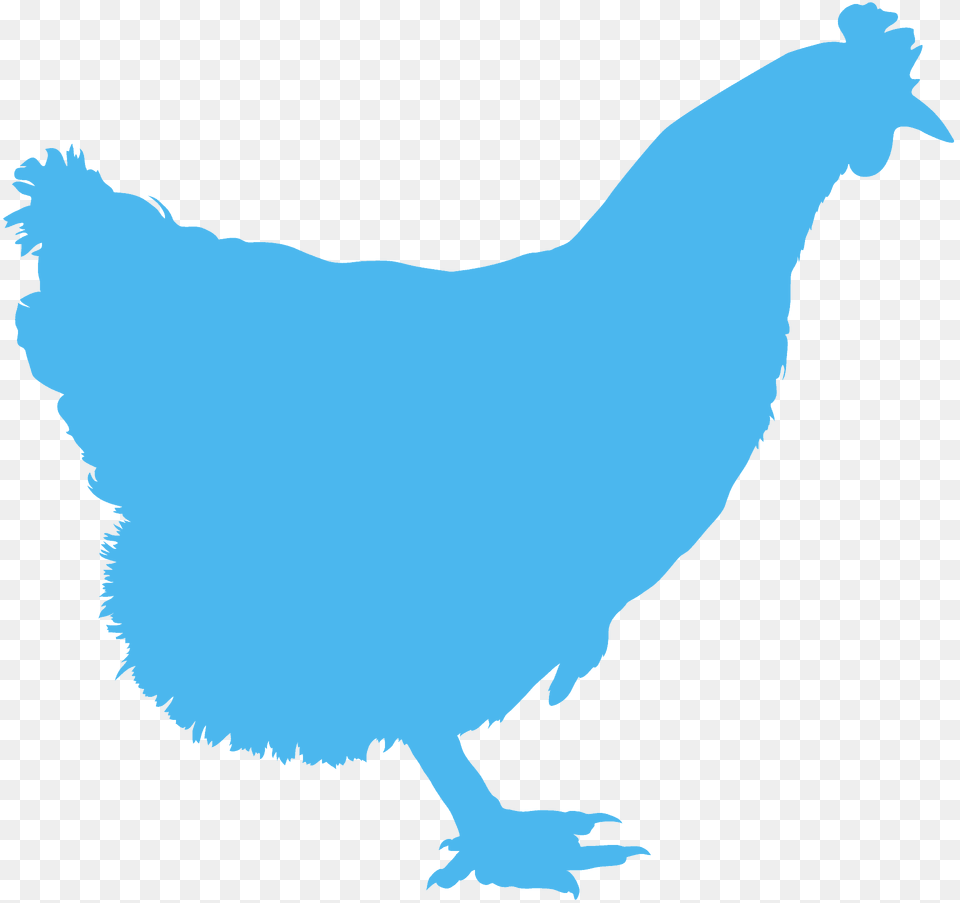 Hen Silhouette, Animal, Bird, Chicken, Fowl Png