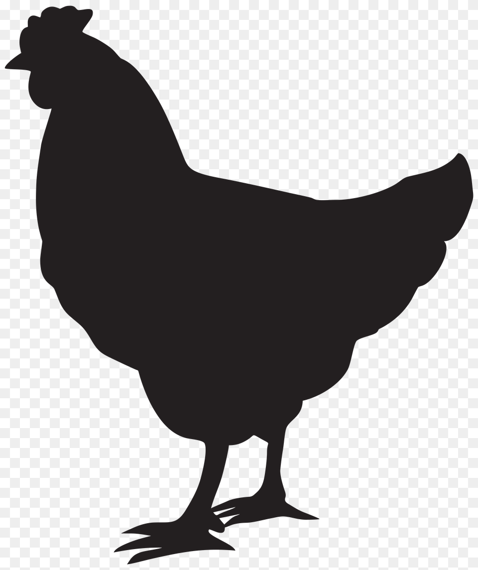 Hen Silhouette Clip Art, Animal, Bird, Chicken, Fowl Free Transparent Png
