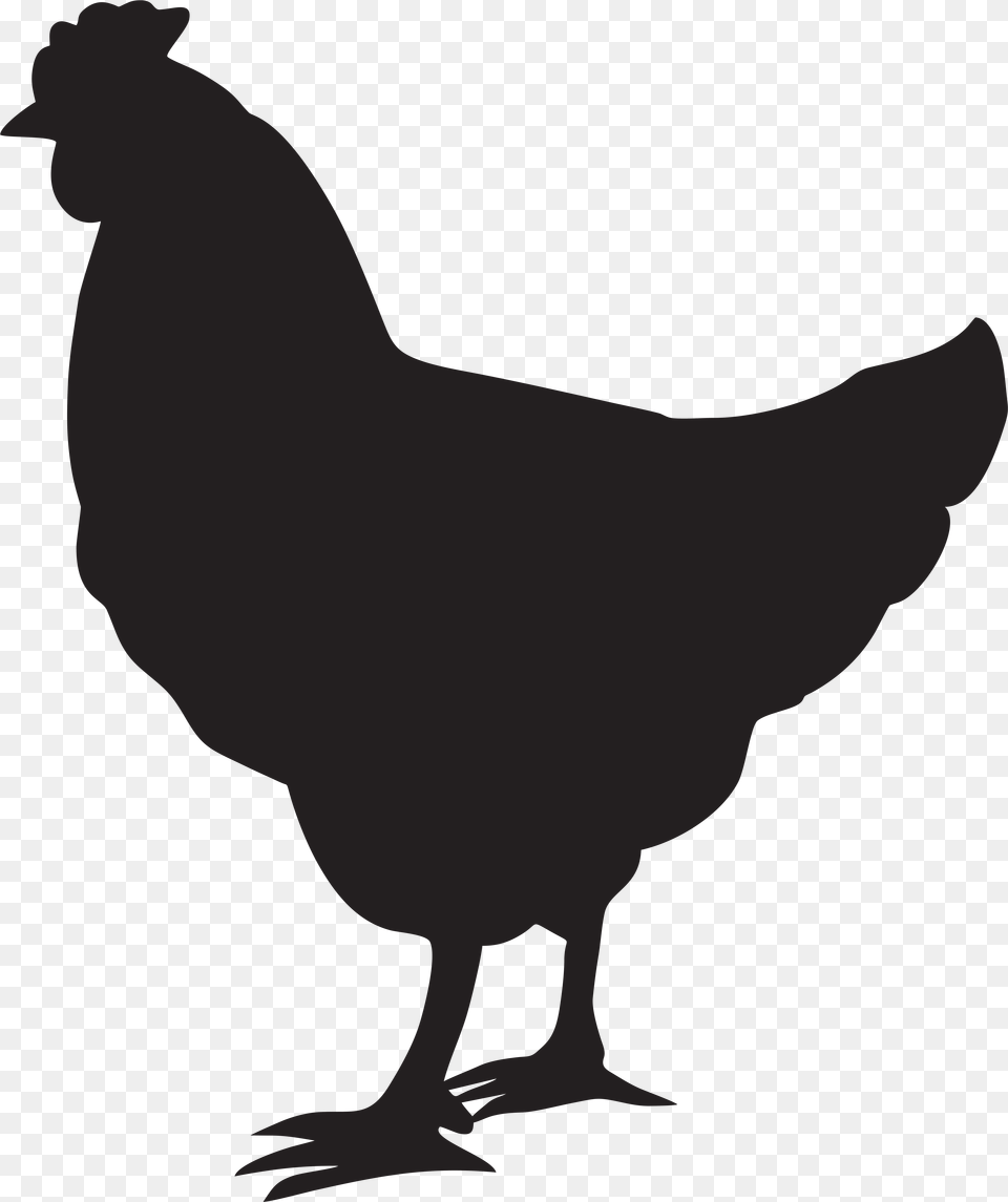 Hen Silhouette Clip Art, Animal, Bird, Chicken, Fowl Free Png