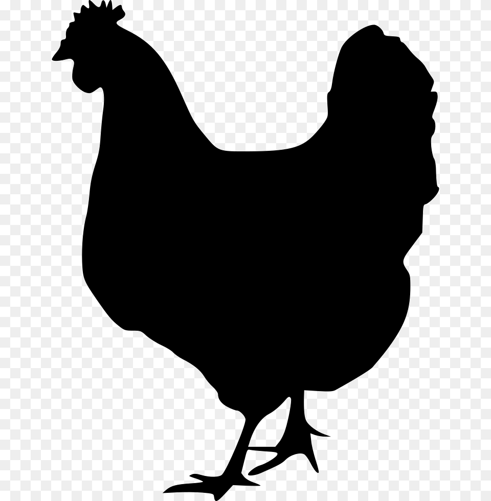 Hen Vector Svg Black And White Chicken Svg, Animal, Poultry, Fowl, Bird Png