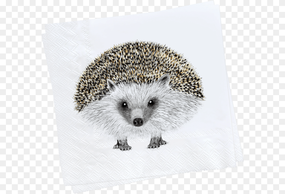 Henry Napkin Web 1000x Domesticated Hedgehog, Animal, Mammal, Rat, Rodent Free Png Download