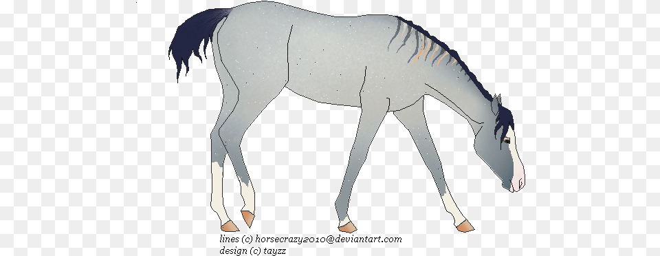 Her Colour Just Make It Like Water Colourerly Stallion, Animal, Colt Horse, Horse, Mammal Png