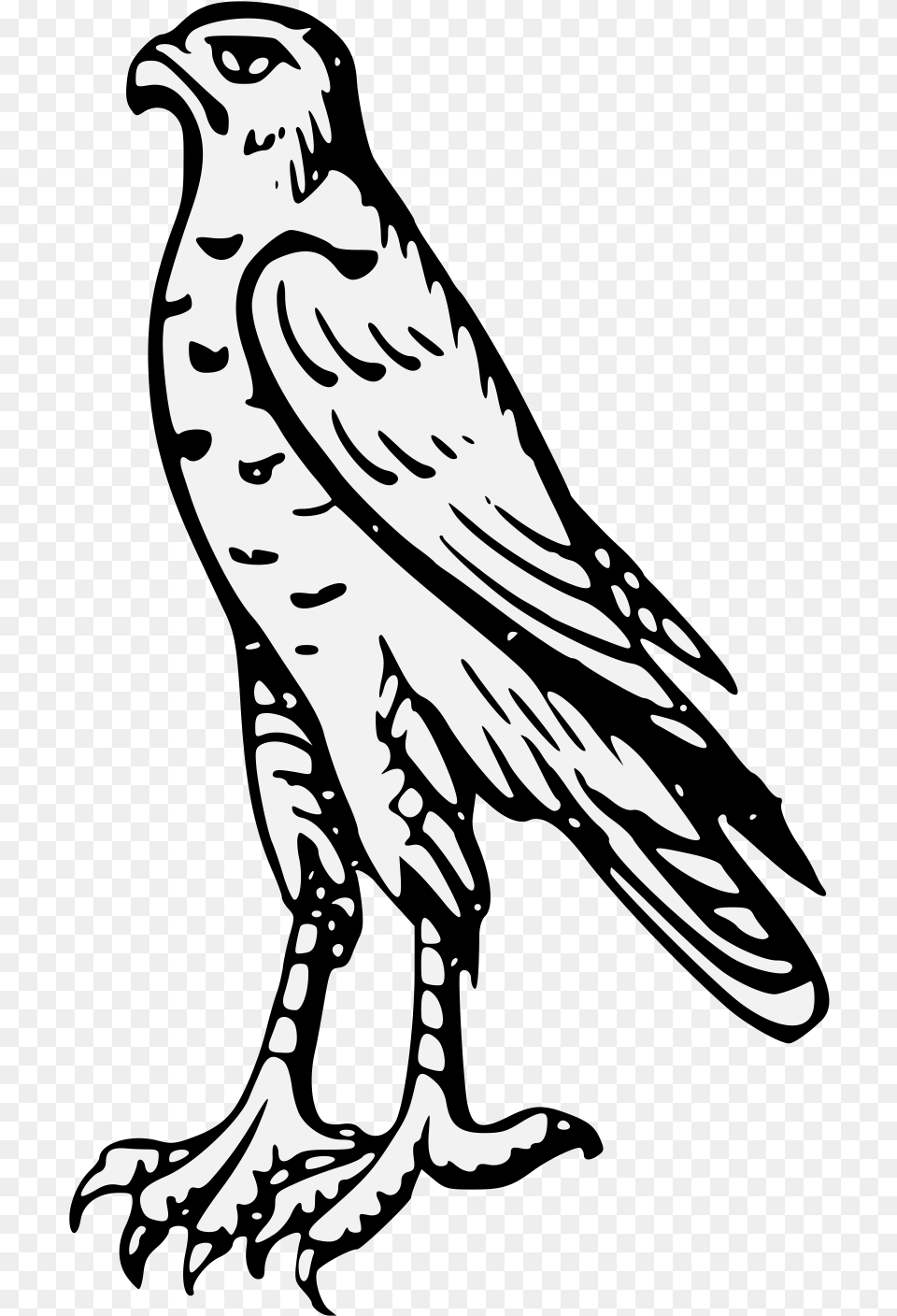 Heraldic Hawk, Person, Stencil, Animal, Bird Free Png Download