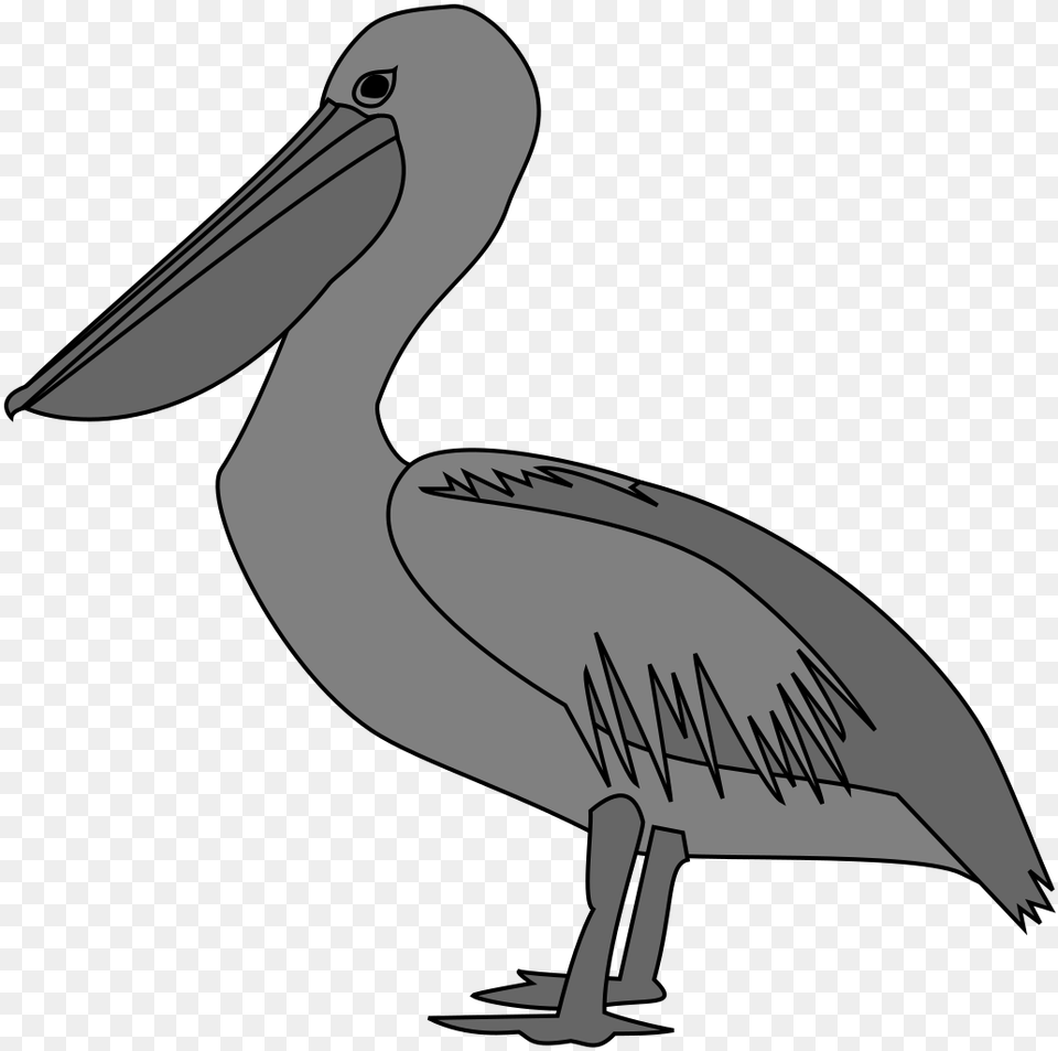 Heraldic Pelican, Animal, Bird, Waterfowl Free Png