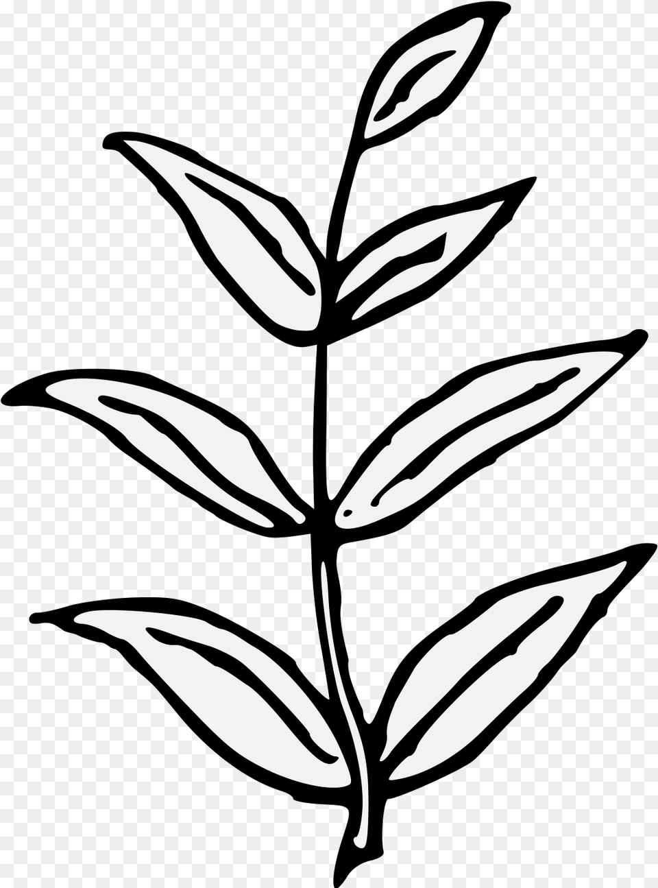 Heraldry Vector Olive Wreath, Leaf, Stencil, Plant, Shark Free Png Download