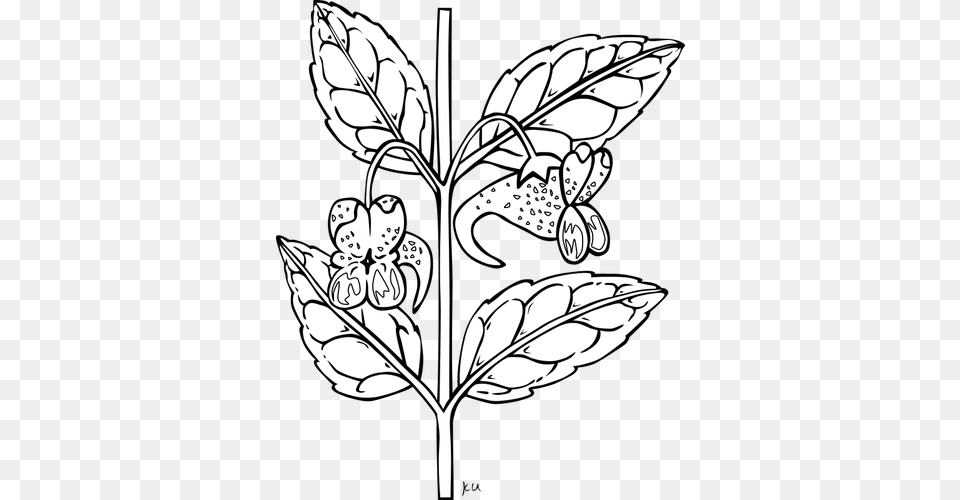 Herb Branch, Leaf, Plant, Stencil, Art Free Png