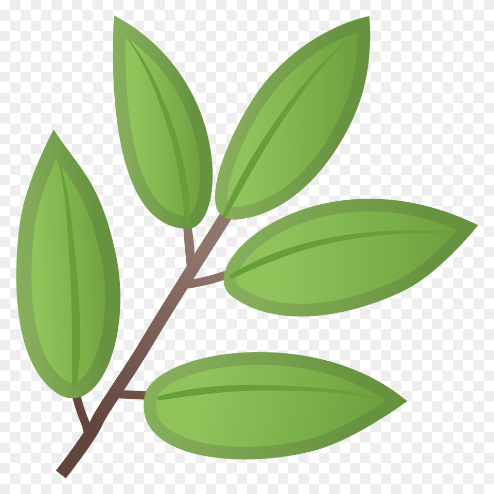Herb Emoji Clipart, Green, Herbal, Herbs, Leaf Free Transparent Png