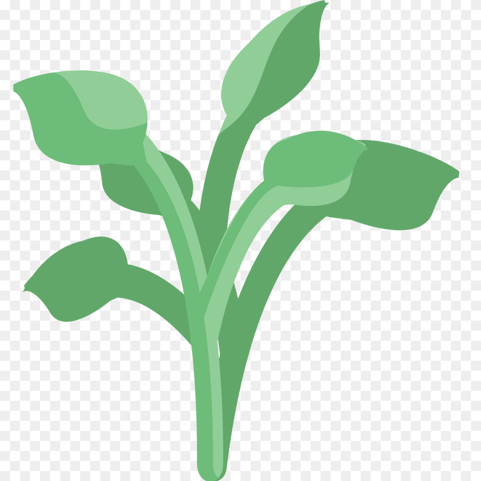 Herb Emoji Clipart, Leaf, Plant, Herbal, Herbs Free Png