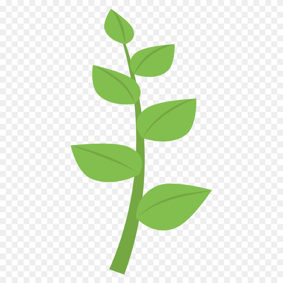 Herb Emoji Clipart, Herbal, Herbs, Leaf, Plant Png