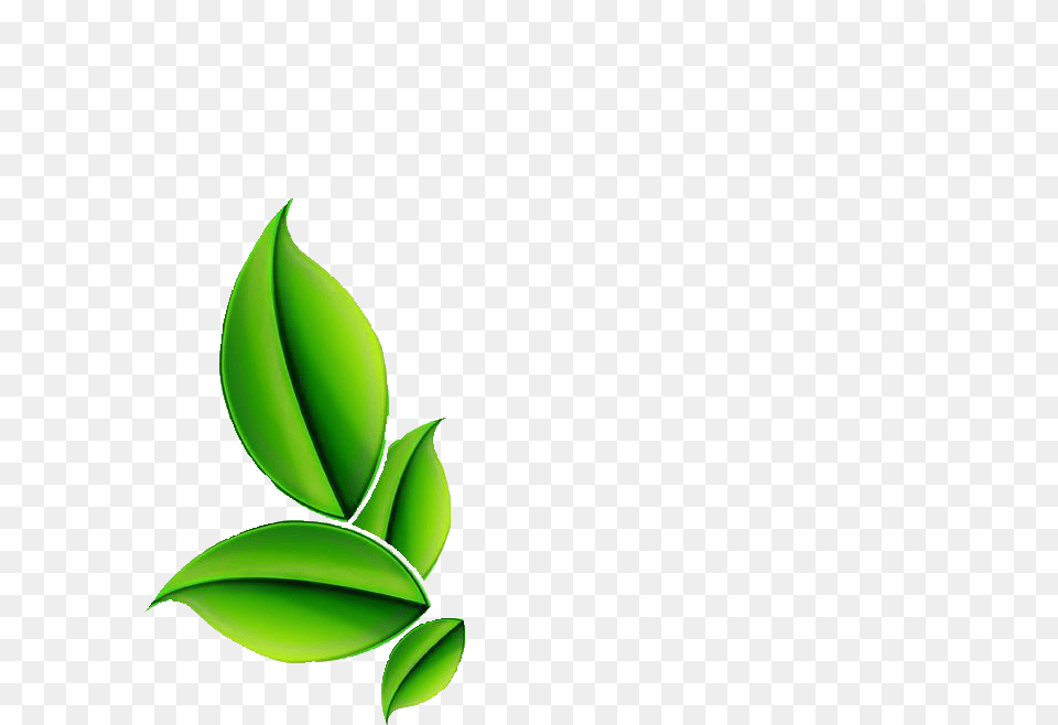 Herb Herb, Green, Leaf, Plant Free Transparent Png