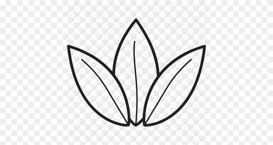 Herb Herbal Leaves Plant Tea Tea Leaf Icon, Clothing, Hat, Festival, Hanukkah Menorah Free Transparent Png