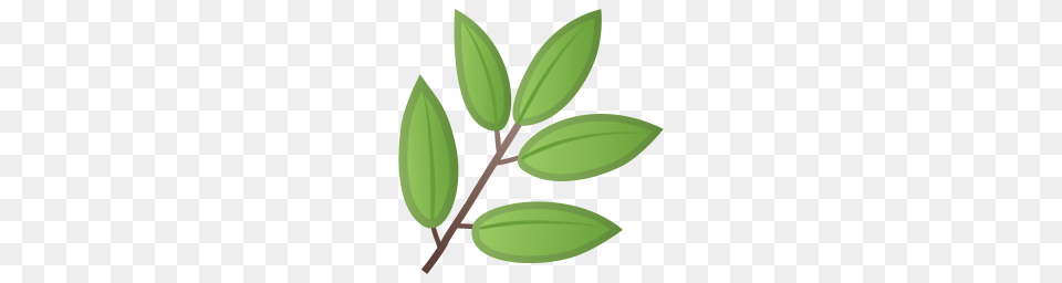 Herb Icon Noto Emoji Animals Nature Iconset Google, Green, Herbal, Herbs, Leaf Free Png