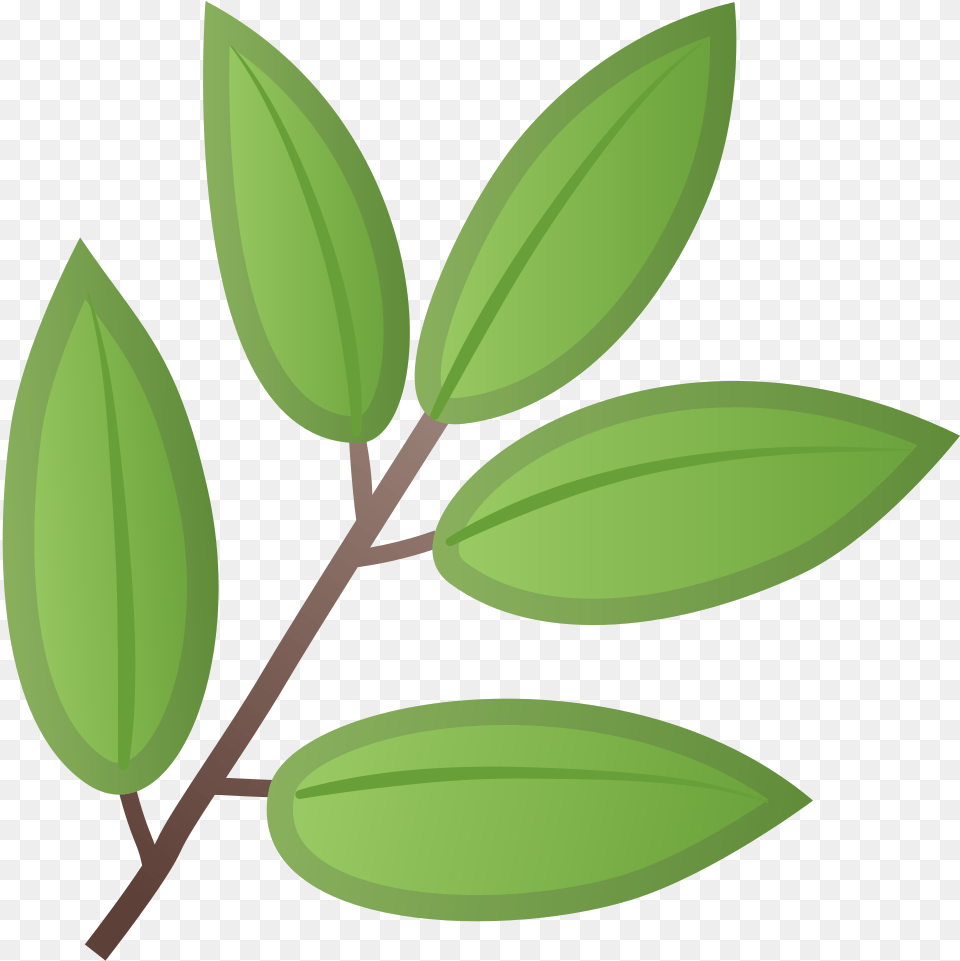 Herb Icon Noto Emoji Animals Nature Iconset Google Leaf Emoji, Plant, Herbs, Herbal, Tree Free Transparent Png