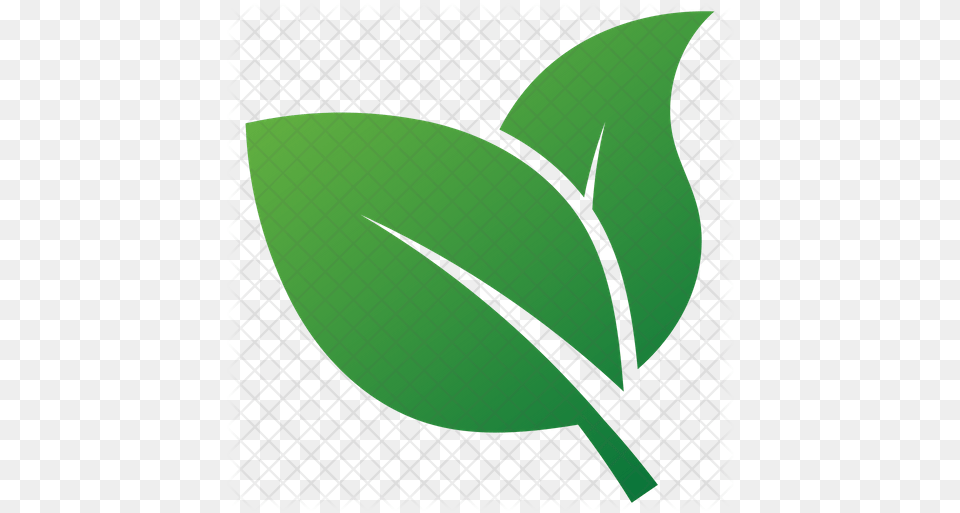 Herbal Leaves Design Icon Of Flat Style Illustration, Green, Herbs, Leaf, Plant Png