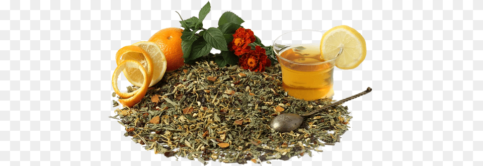 Herbal Tea, Herbs, Plant, Lemon, Produce Free Transparent Png