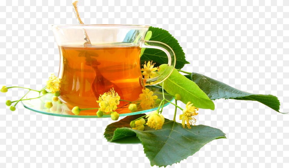 Herbal Tea Images, Herbs, Plant, Beverage, Cup Free Png Download
