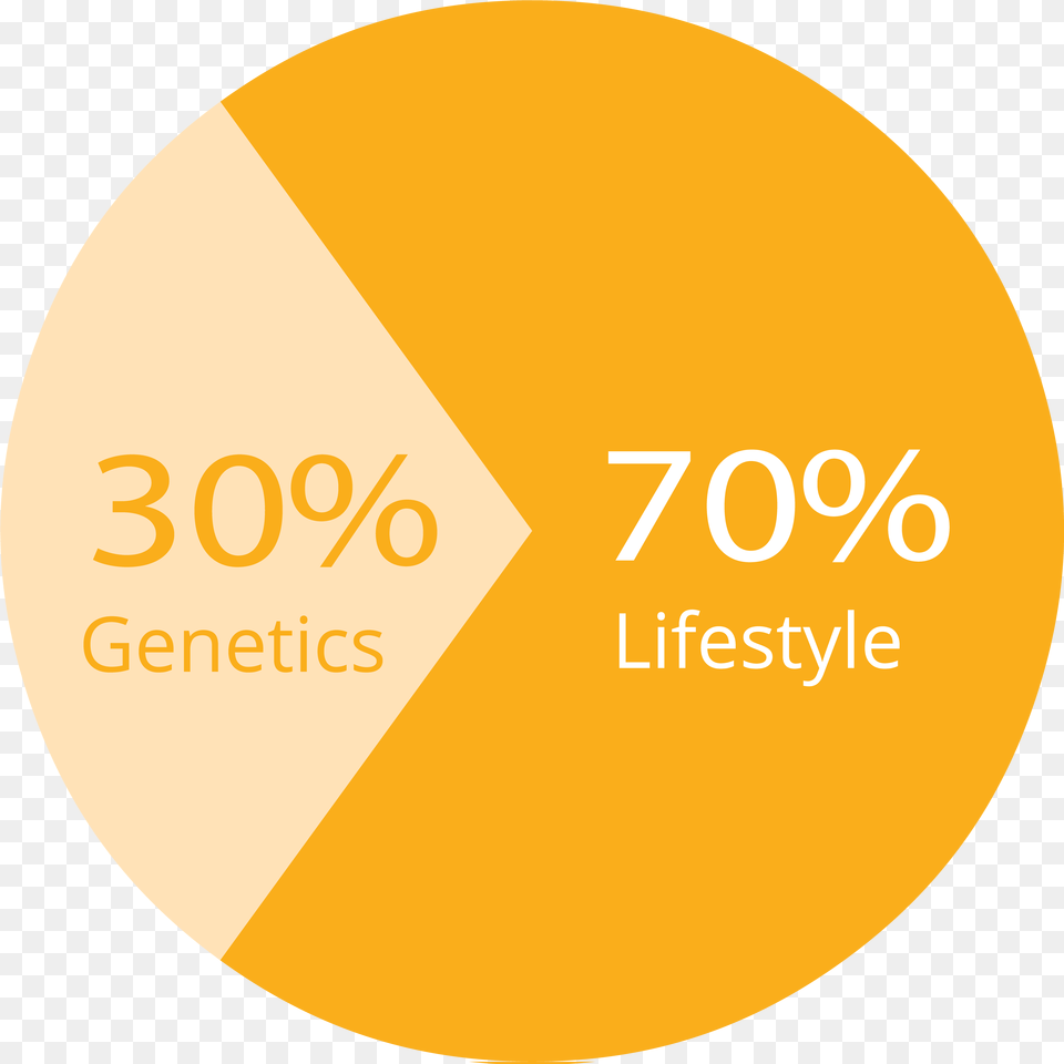 Herbalife Nutrition Category Circle, Disk, Chart, Pie Chart Png