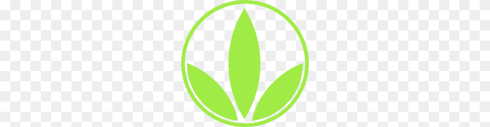 Herbalife Skin Logo Vector, Leaf, Plant, Green Free Png
