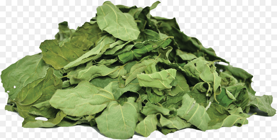 Herbs Amp Botanicals Ziziphus Spina Leaves, Plant, Food, Leafy Green Vegetable, Produce Free Transparent Png