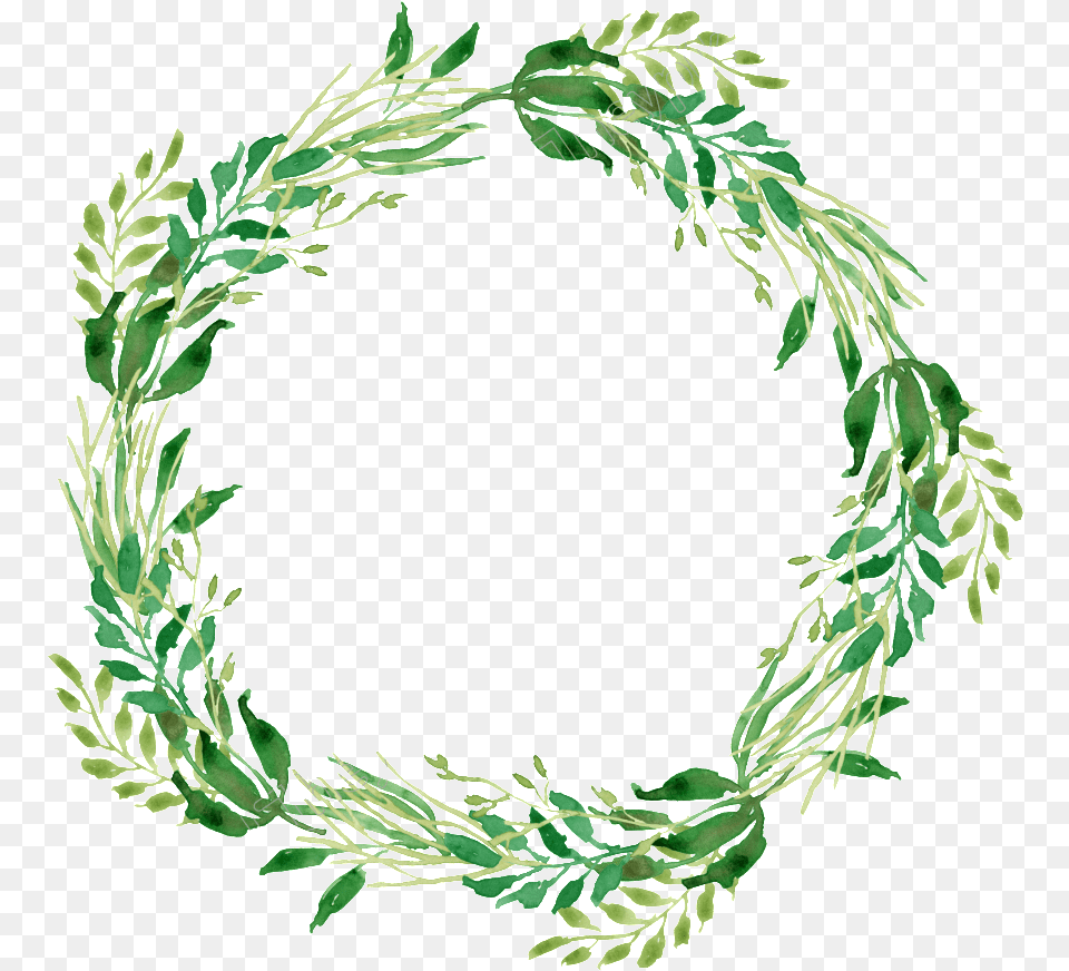 Herbs Clipart Green Watercolor Wreath, Plant Png Image