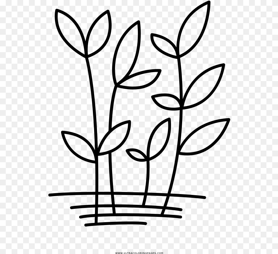 Herbs Coloring, Gray Free Png Download