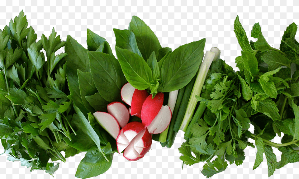 Herbs Final, Plant, Food, Leaf, Produce Free Transparent Png