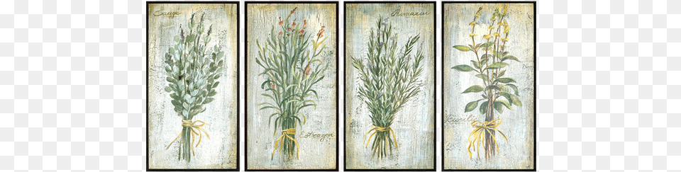 Herbs Pk4 Andover Mills Maryport Auburn Area Rug Rug Size, Grass, Herbal, Plant Png Image