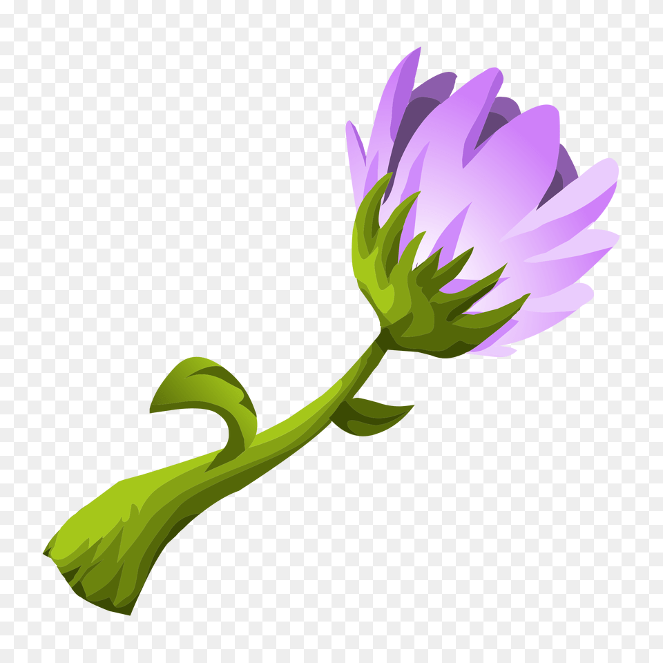 Herbs Purple Flower Icons, Daisy, Petal, Plant Free Png