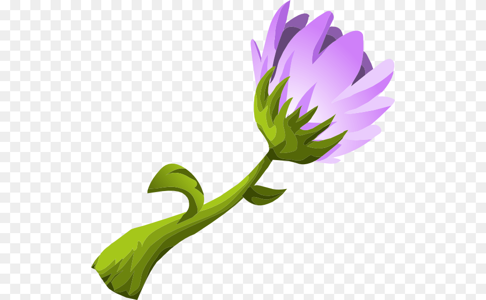 Herbs Purple Flower Large Size, Daisy, Plant, Petal Free Png