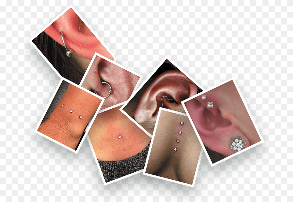 Here A Sample Of Some Of The Piercings We Have Done Earrings, Person, Piercing, Body Part, Face Free Transparent Png