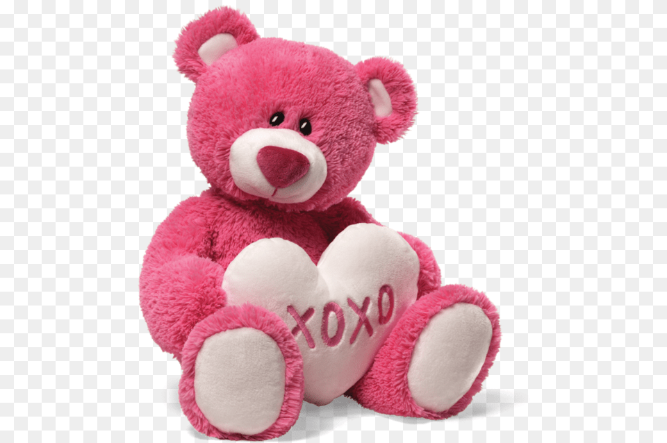 Here Are Some Special 2018 Teddy Bear Teddy Bear, Teddy Bear, Toy Free Png Download