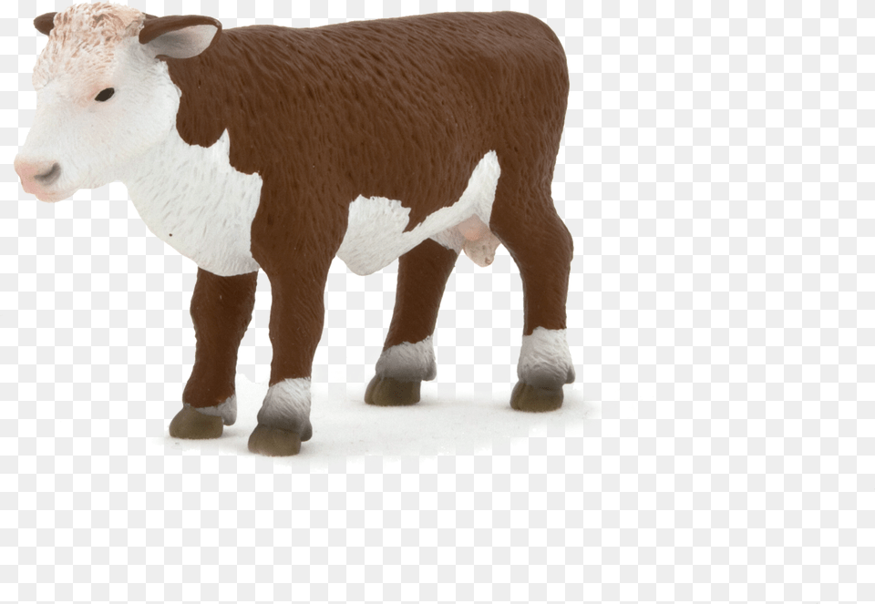 Hereford Cattle Calf Sheep Herefordshire Artikel Hereford Cattle, Animal, Cow, Livestock, Mammal Png Image